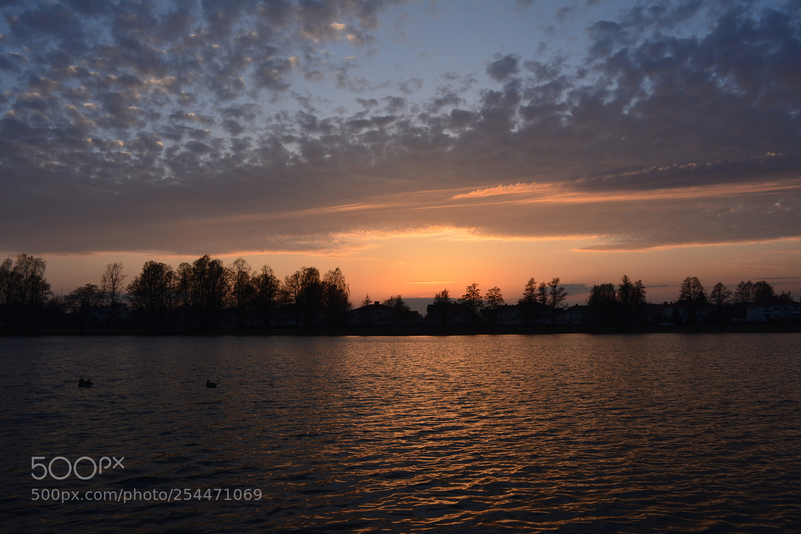 Nikon D5200 sample photo. Amazing sunset photography