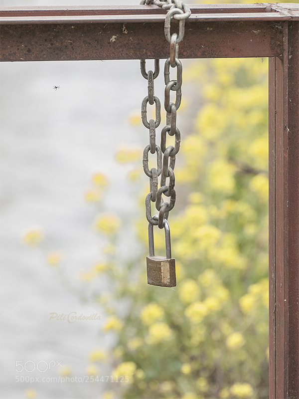 Olympus E-3 sample photo. Candado en el campo photography