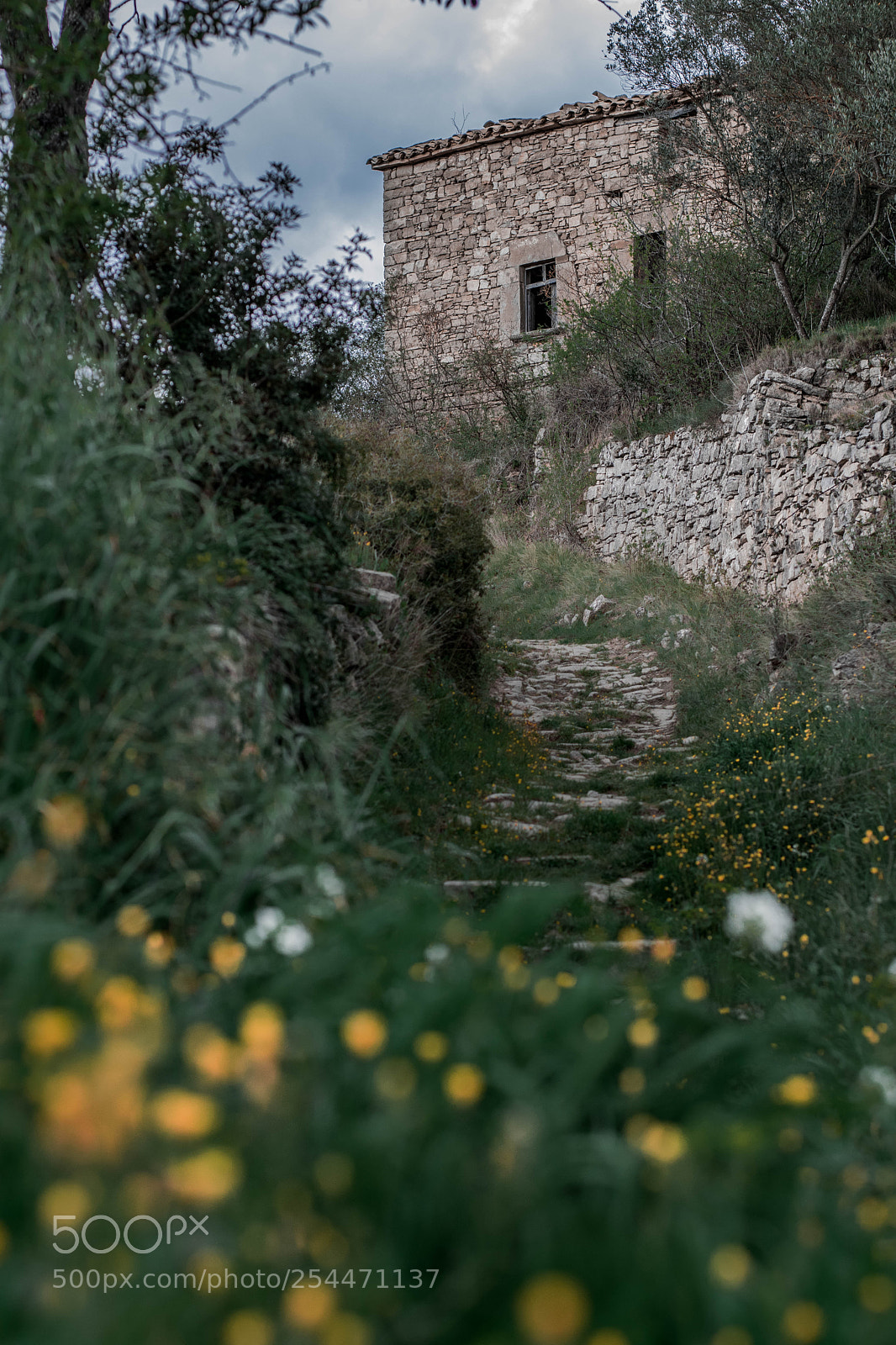 Nikon D3300 sample photo. Stone world photography