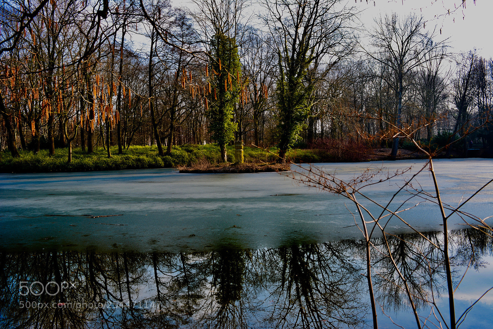 Nikon D5200 sample photo. Water reflection photography