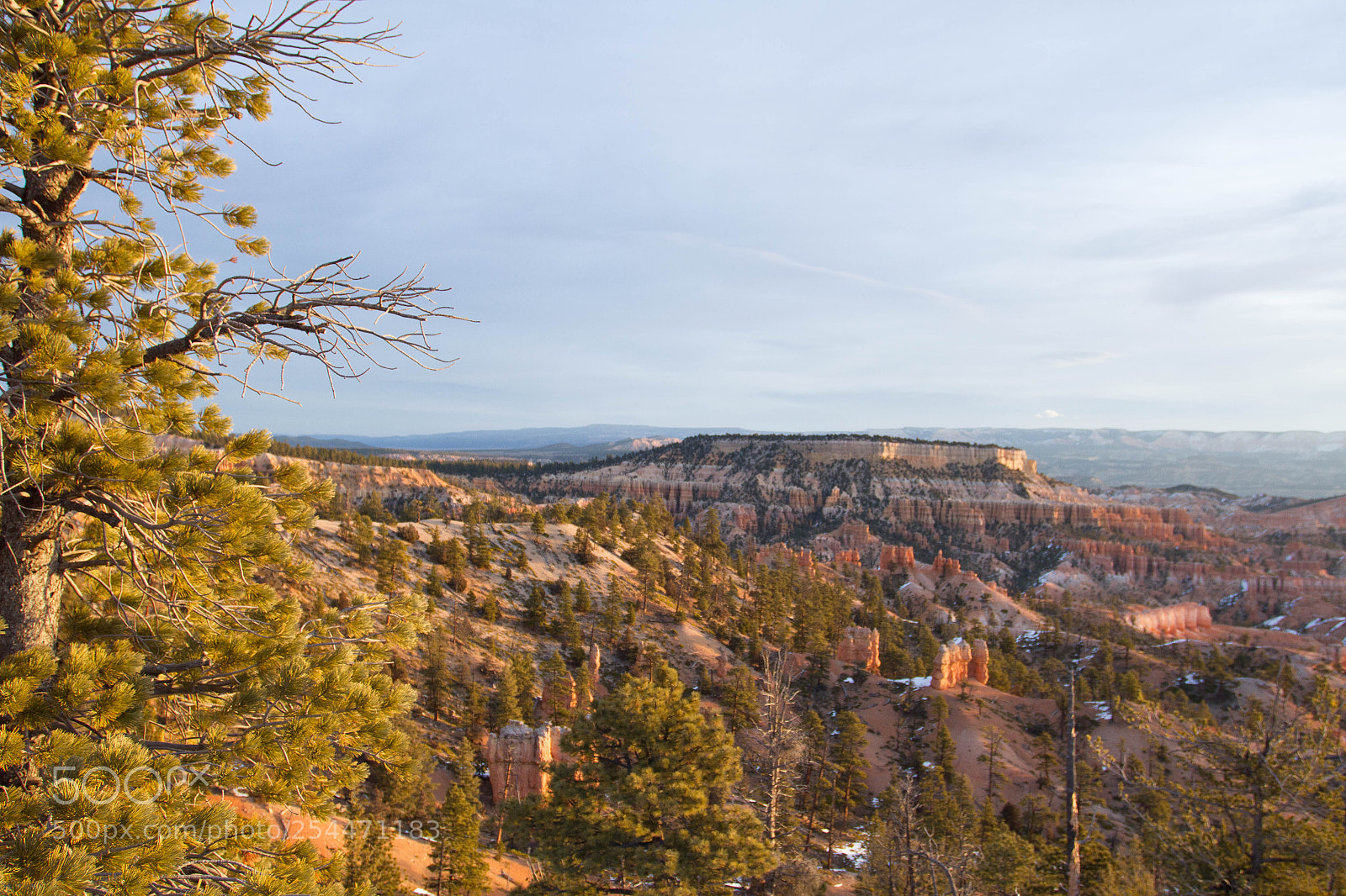 Canon EOS 7D sample photo. Bryce canyon national park photography
