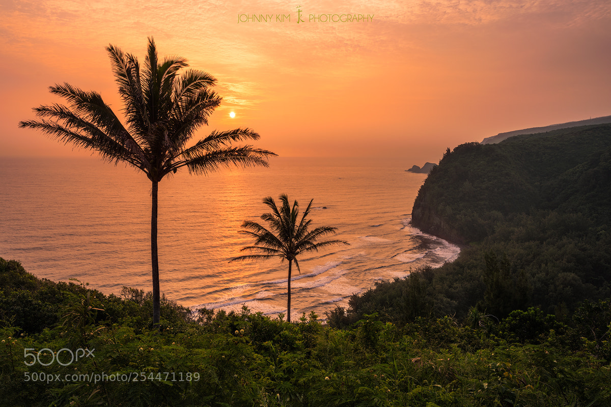 Nikon D810 sample photo. Aloha is hawaiian for photography