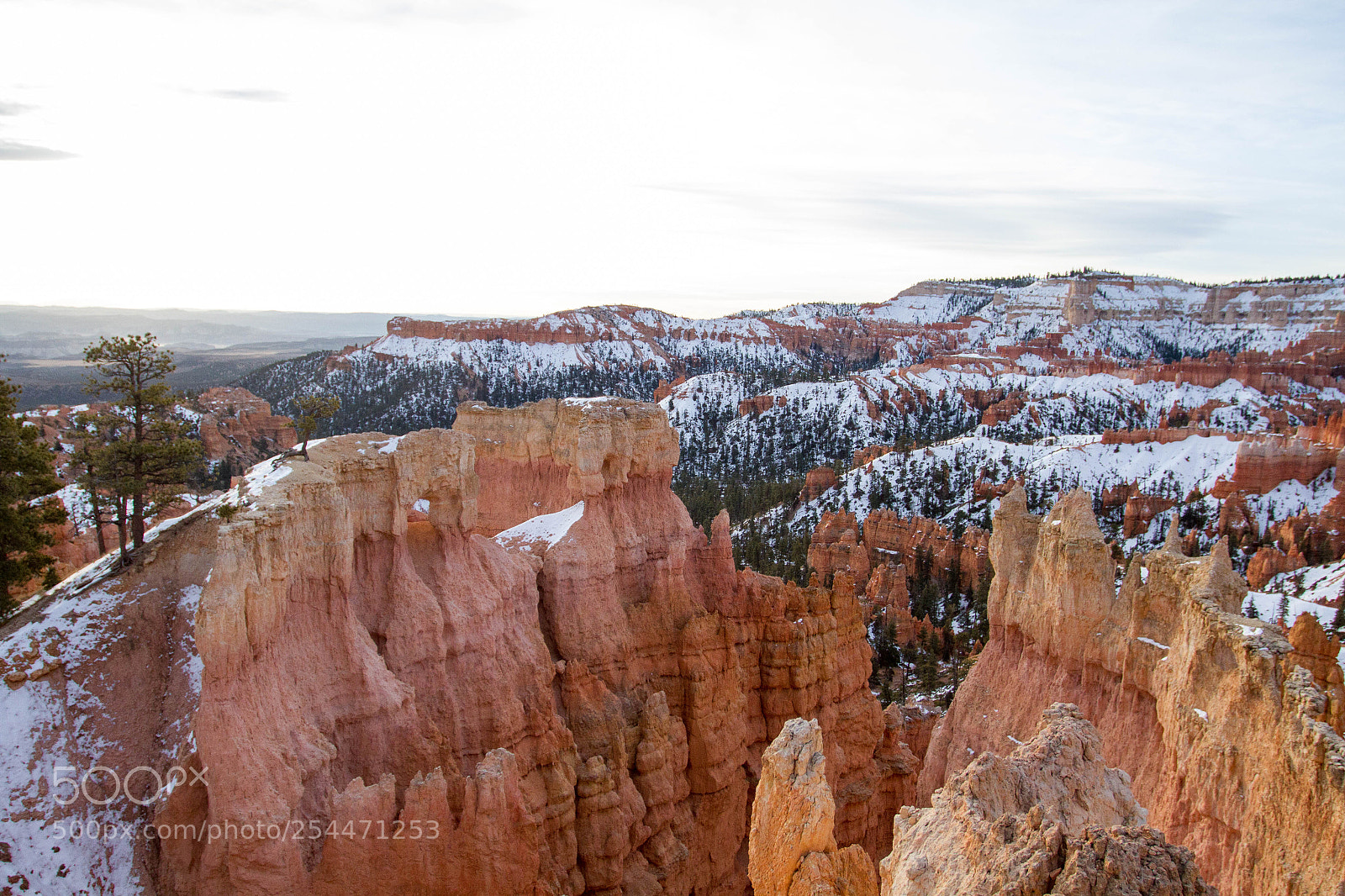 Canon EOS 7D sample photo. Bryce canyon national park photography