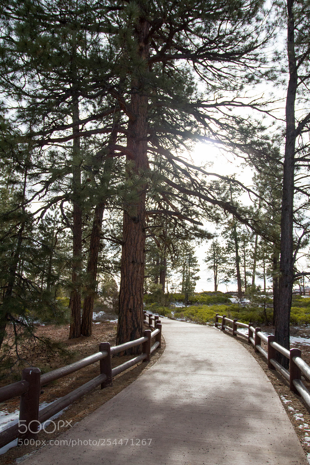 Canon EOS 7D sample photo. Bryce canyon national park photography