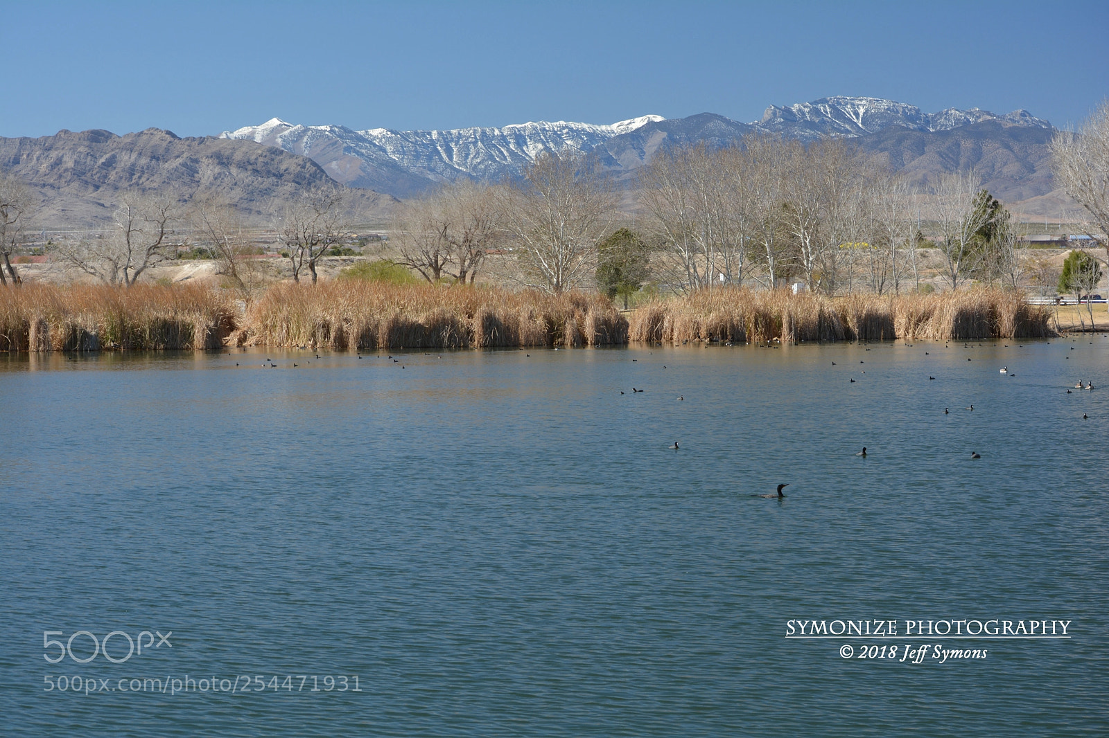 Nikon D5200 sample photo. Tule springs lake photography