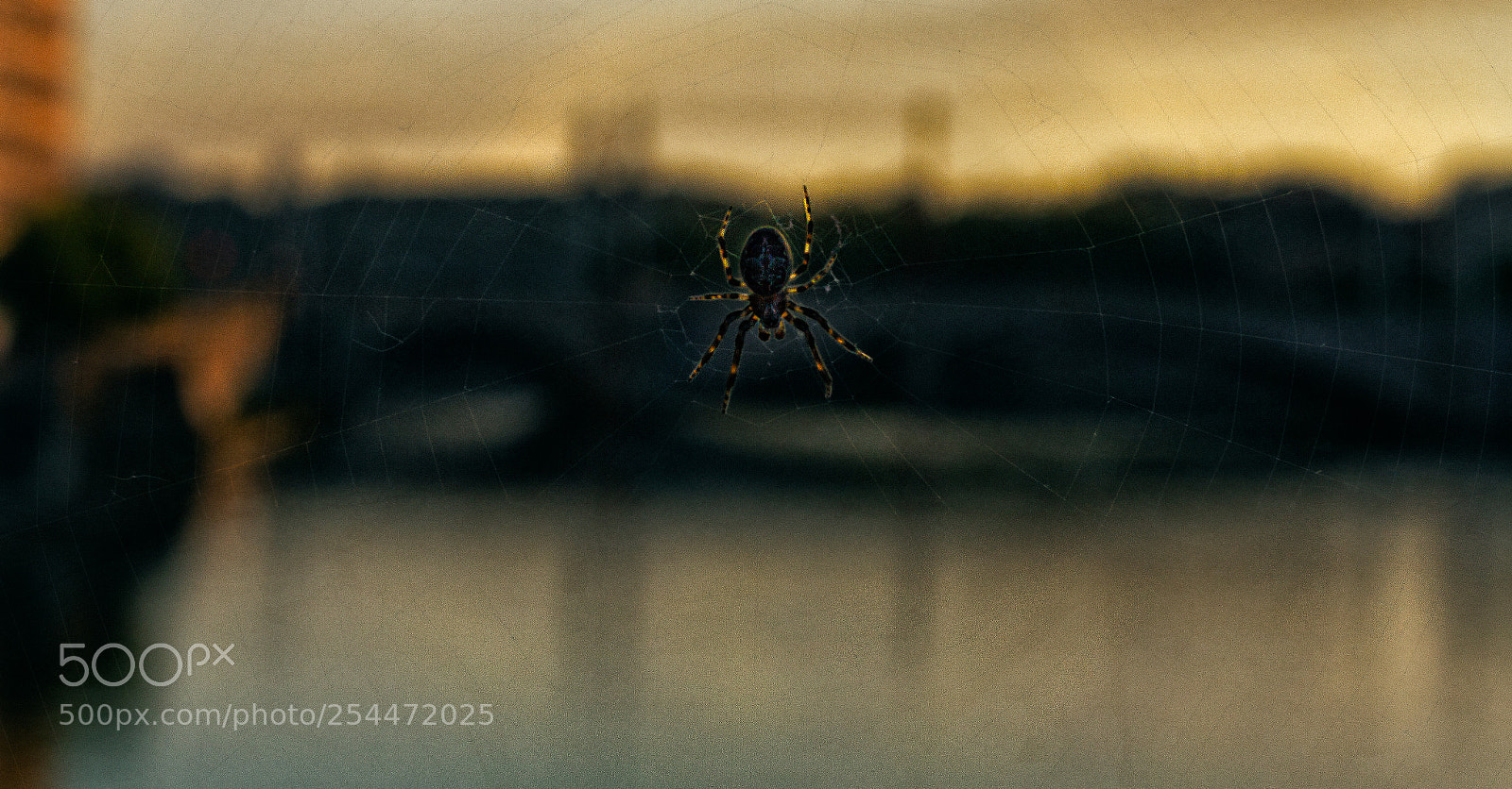 Canon EOS 7D sample photo. The spider of cities photography