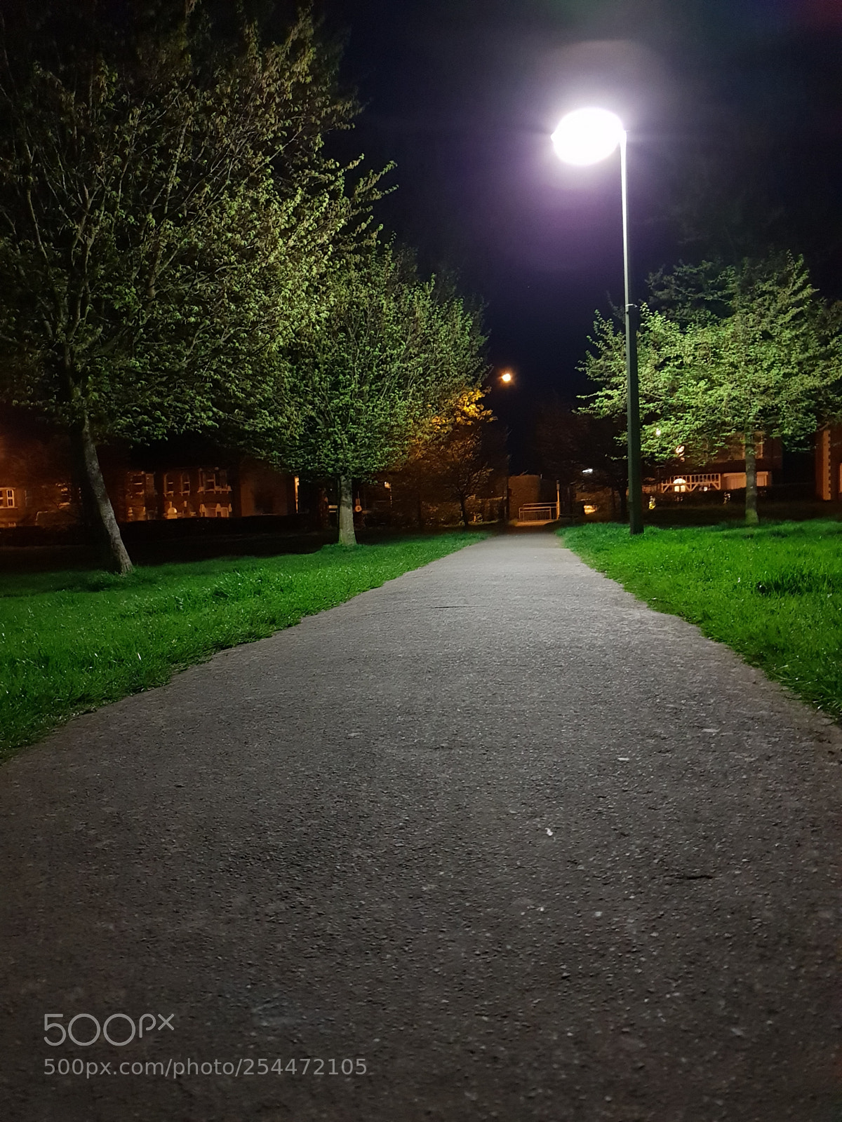 Samsung Galaxy S9 sample photo. Untitled photography