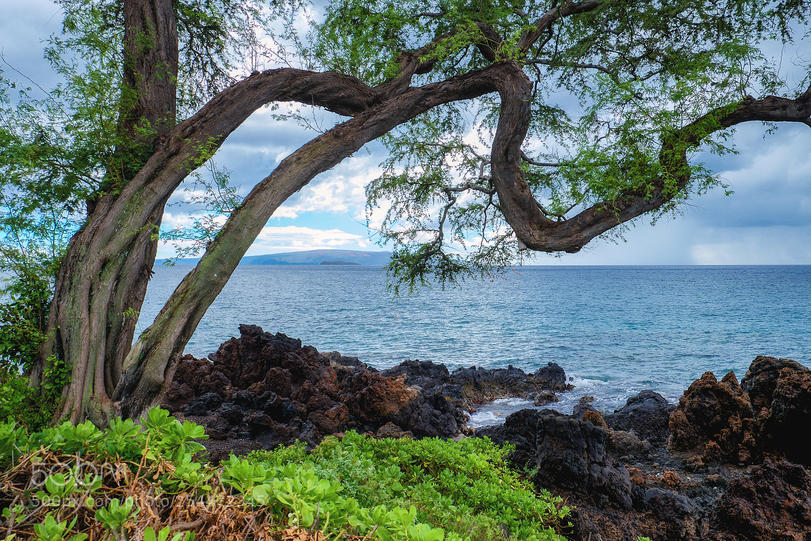 Fujifilm X-E2 sample photo. Seascape photography
