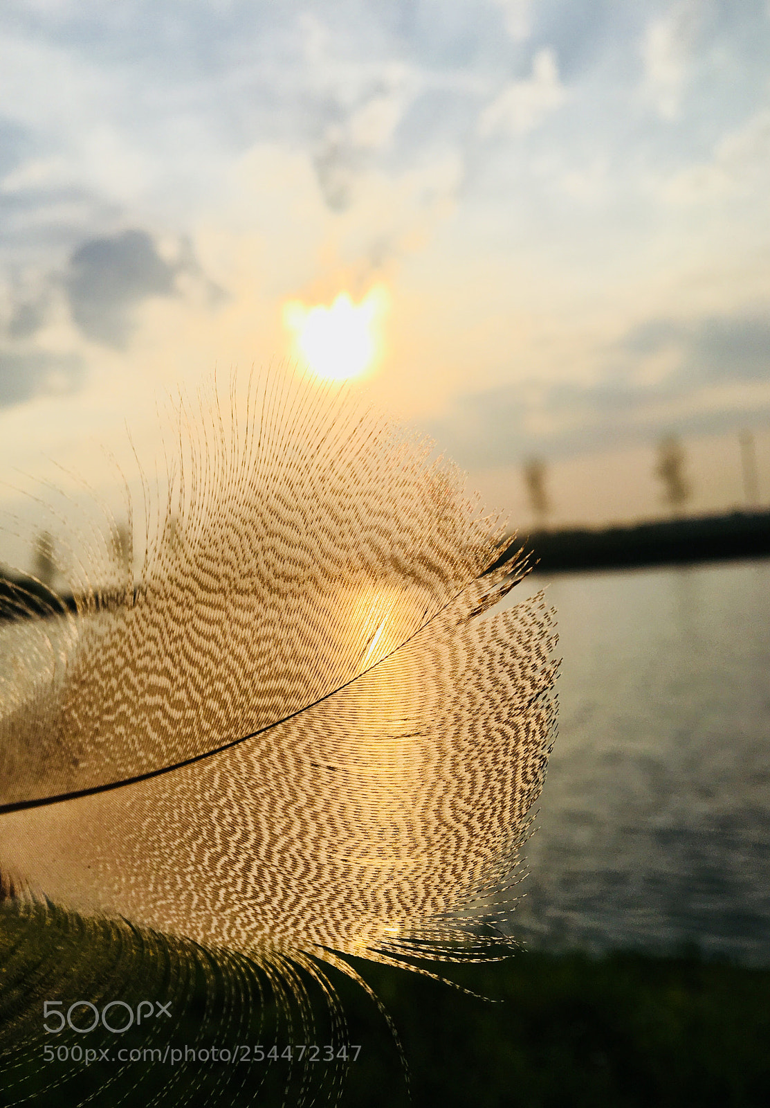 Apple iPhone 6s Plus sample photo. Untitled photography