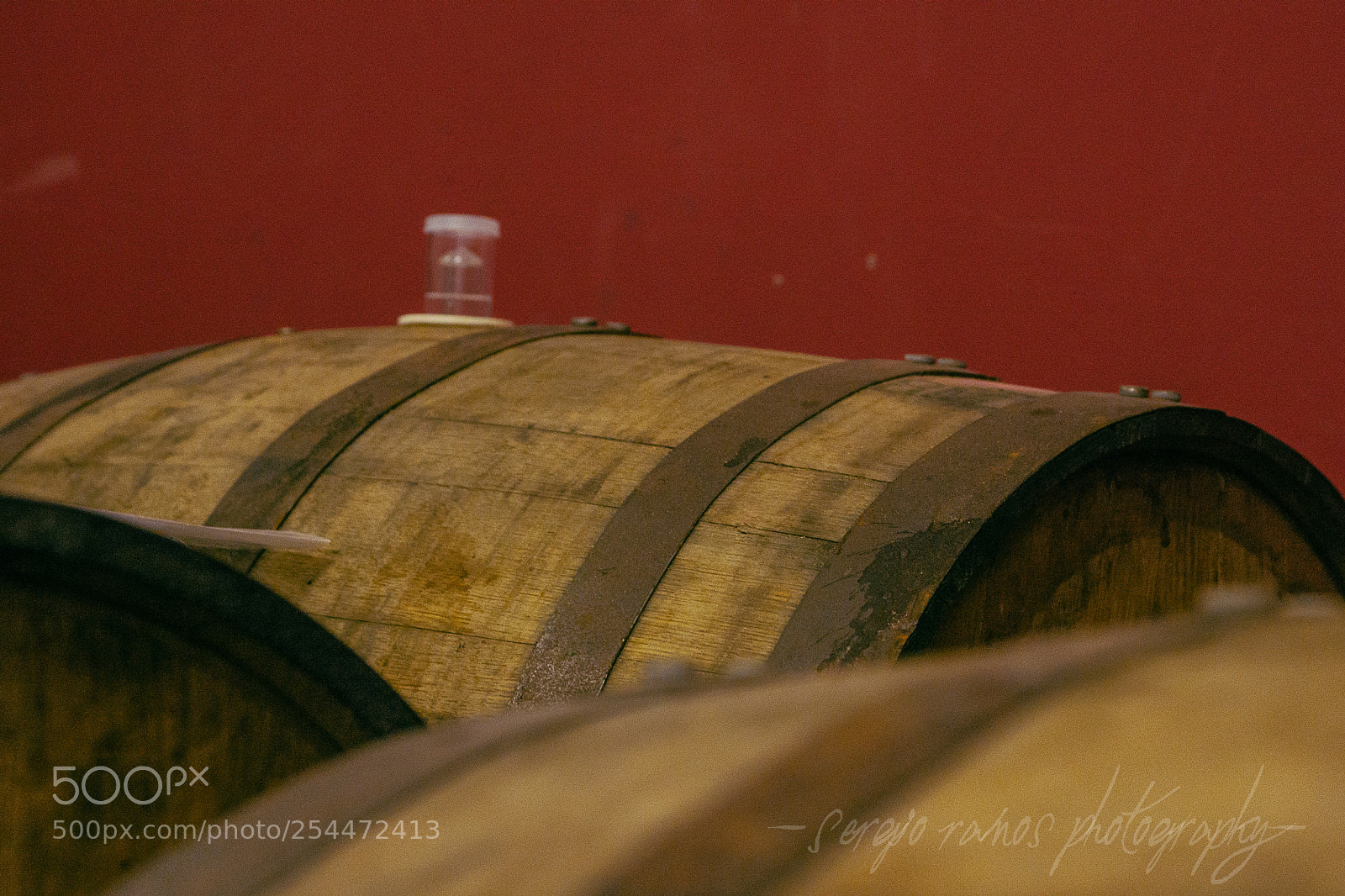 Sony SLT-A65 (SLT-A65V) sample photo. Spbrewing photography
