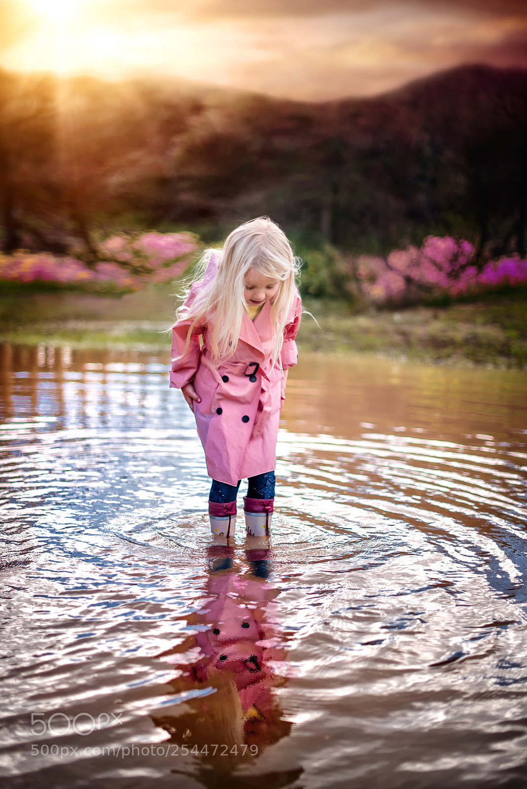 Nikon D810 sample photo. Untitled photography