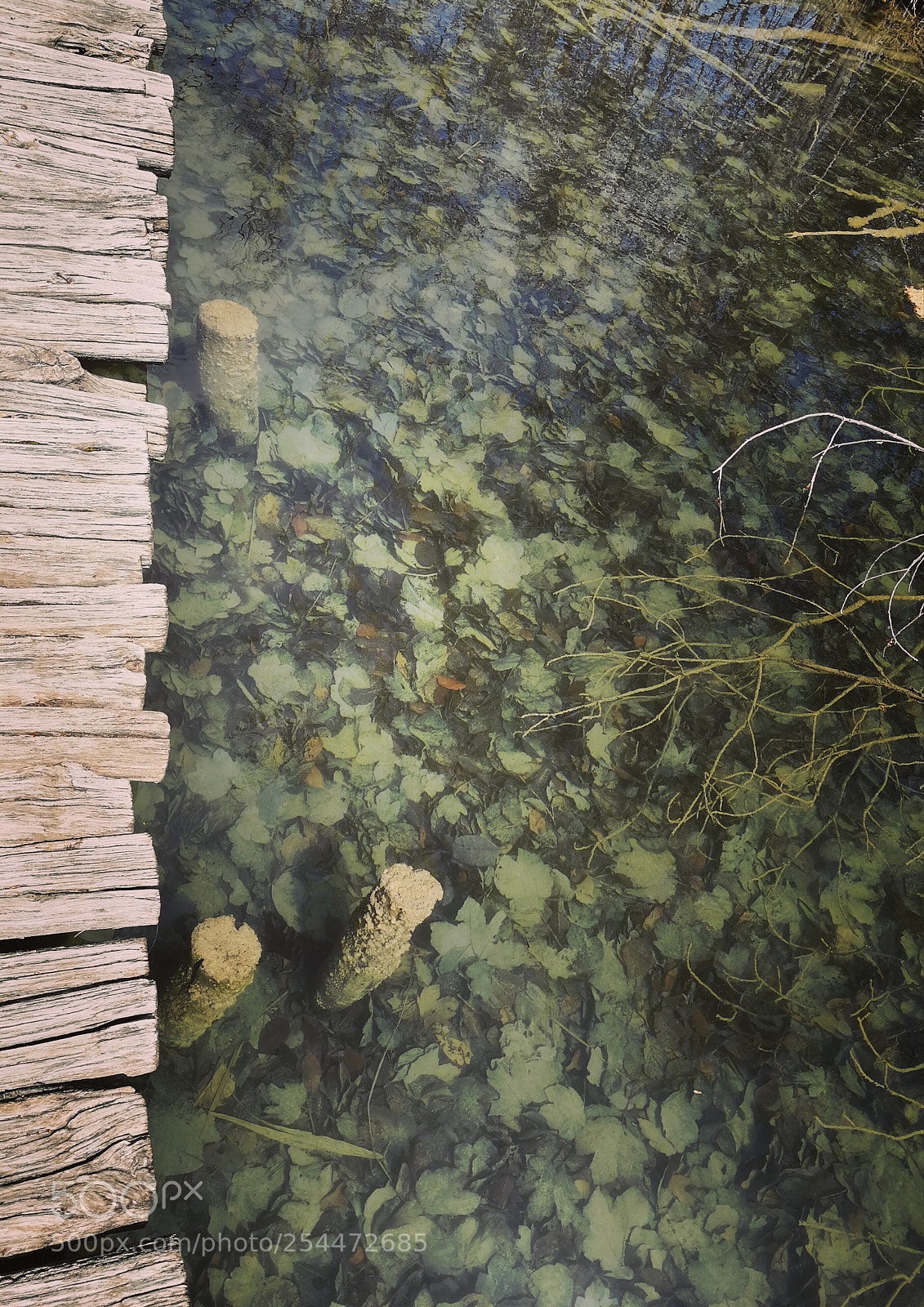 HUAWEI P10 sample photo. Transparences photography