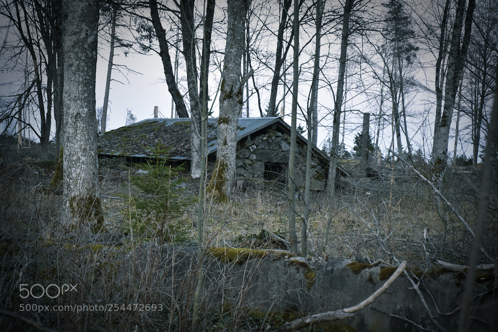 Nikon D5500 sample photo. Solnedgång.jpg photography