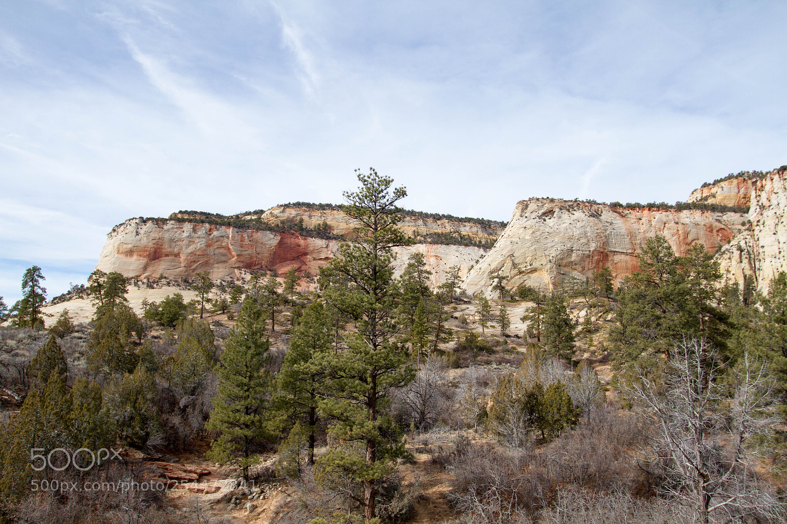 Canon EOS 7D sample photo. Zion national park photography