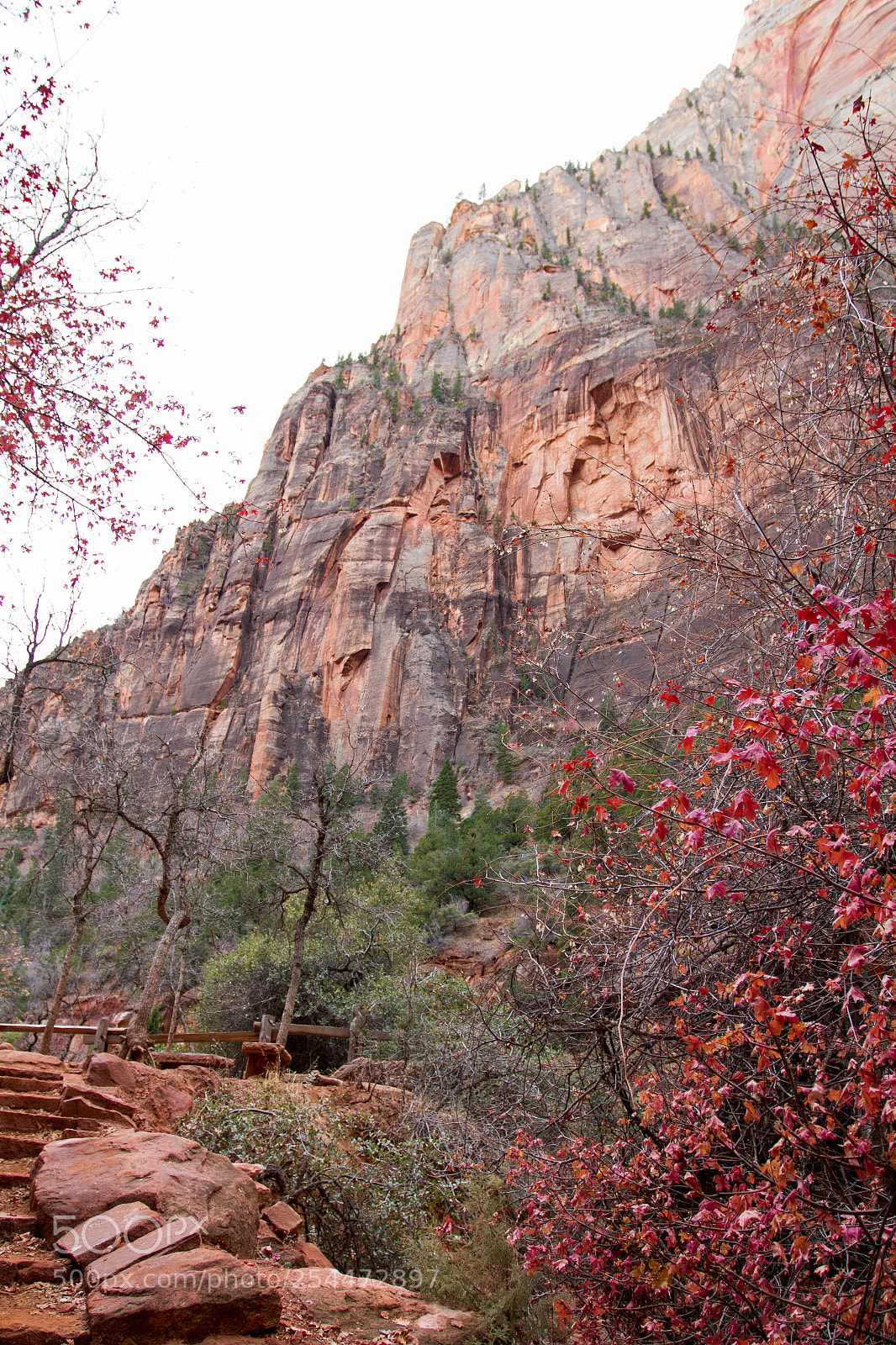 Canon EOS 7D sample photo. Zion national park photography