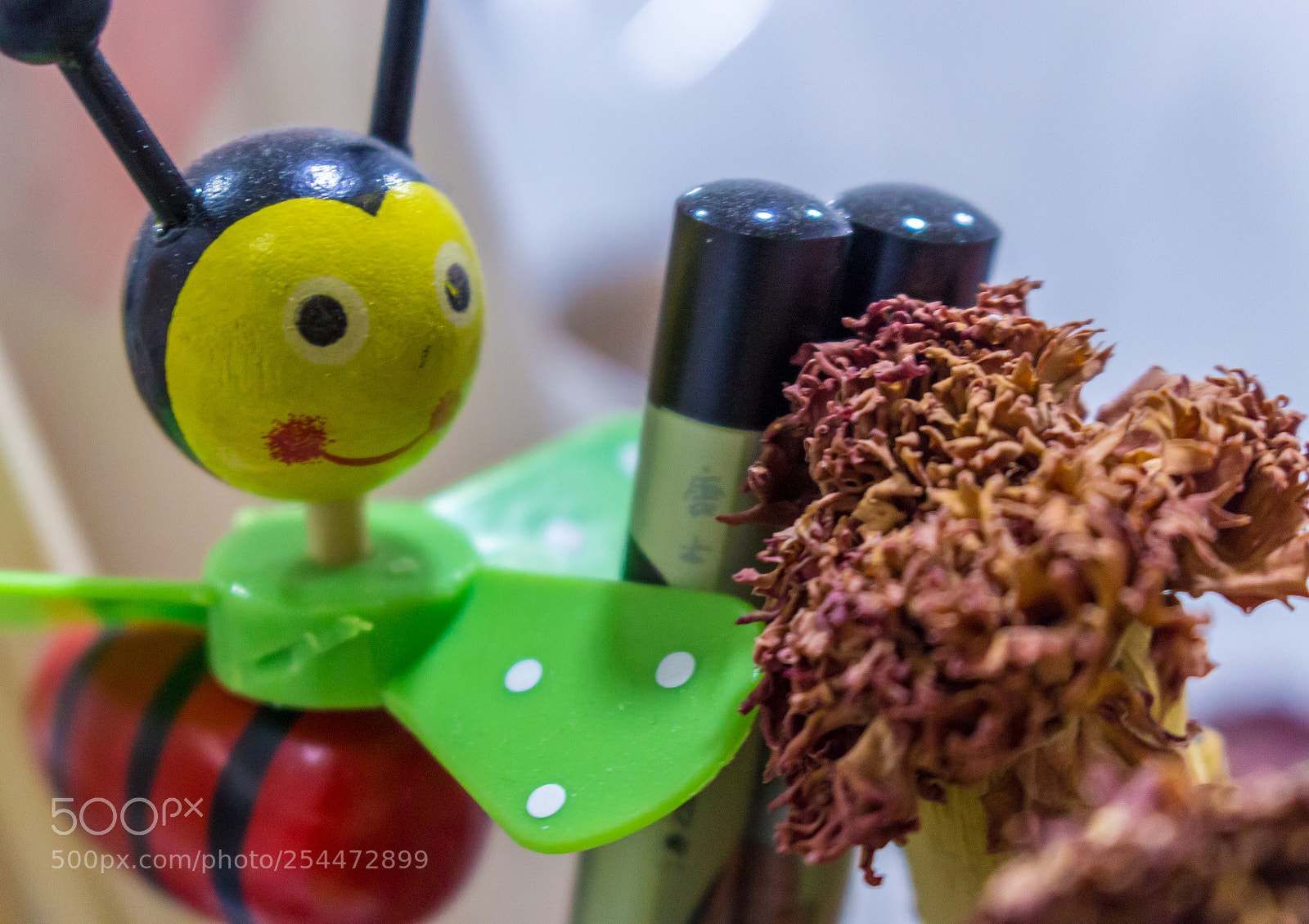 Canon EOS 100D (EOS Rebel SL1 / EOS Kiss X7) sample photo. Toy ! photography