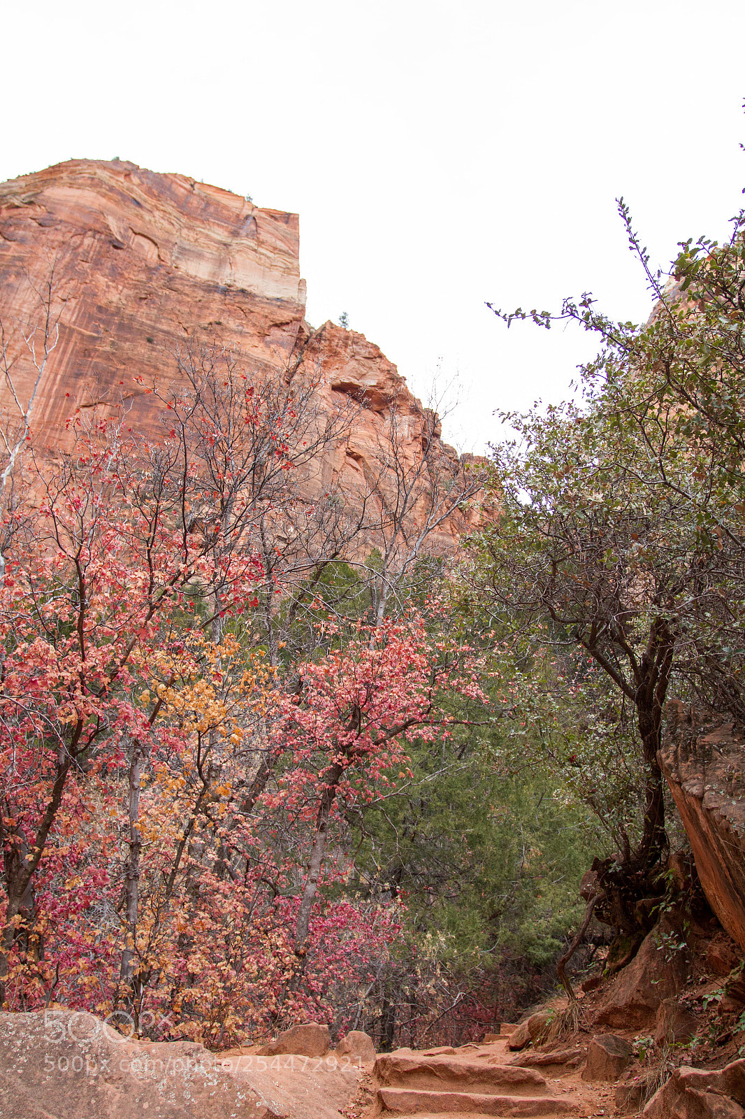 Canon EOS 7D sample photo. Zion national park photography