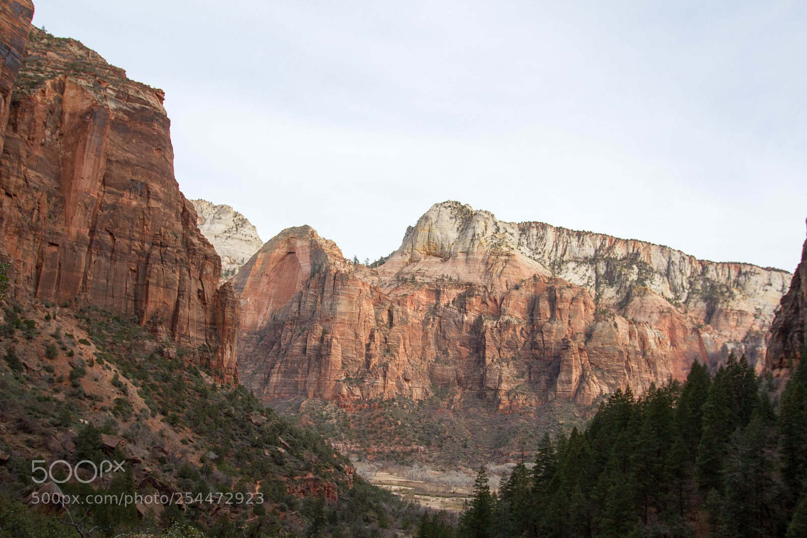 Canon EOS 7D sample photo. Zion national park photography