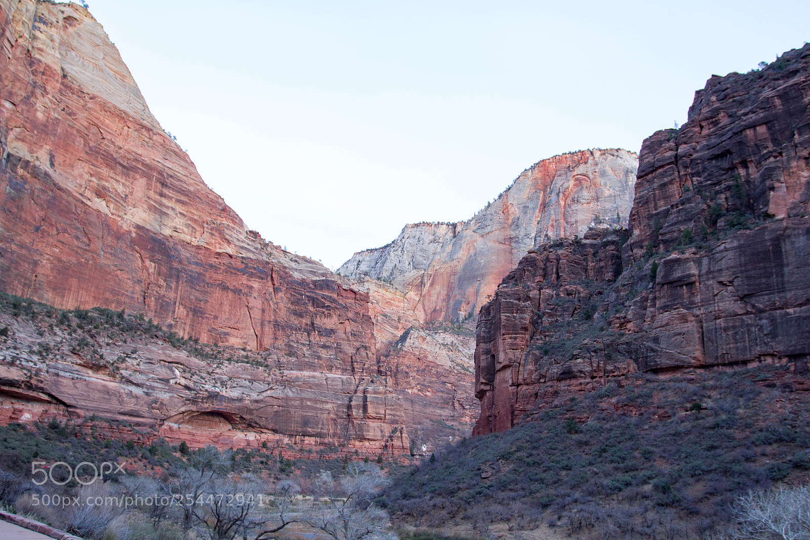 Canon EOS 7D sample photo. Zion national park photography