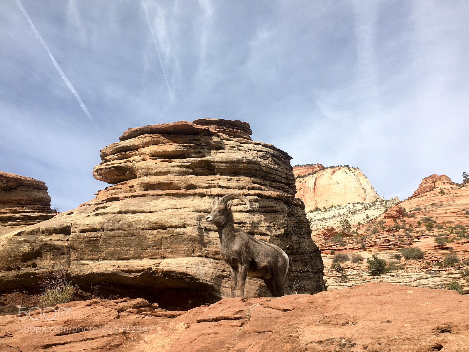 Apple iPhone 6s sample photo. Zion national park photography