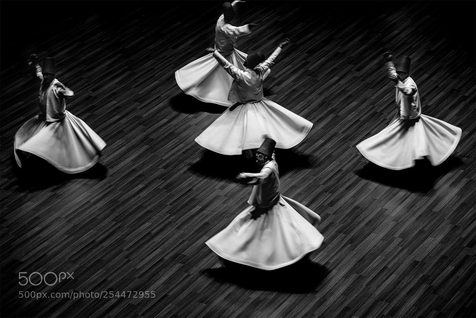 Sony a7 II sample photo. _dsc3296-1.jpg photography