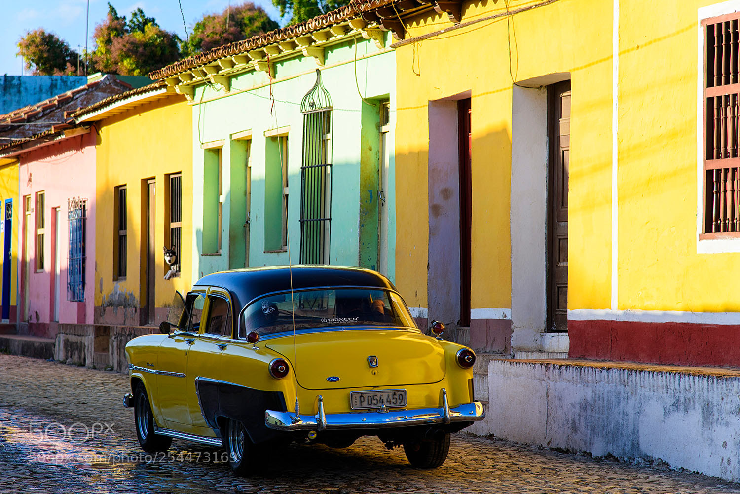 Nikon D810 sample photo. Dans les rues de photography