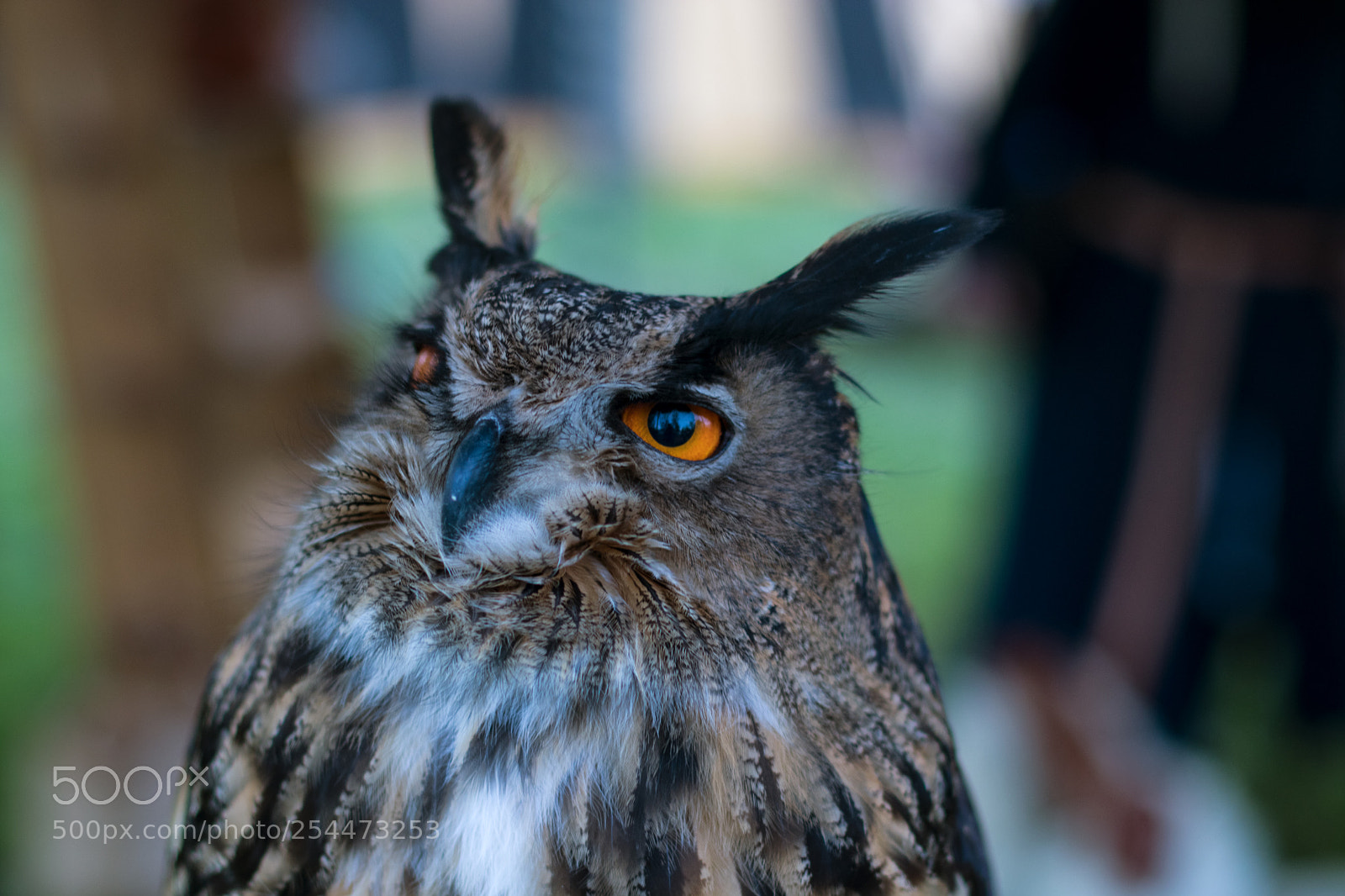 Canon EOS M5 sample photo. Mittelalermarkt geislautern 2018 photography
