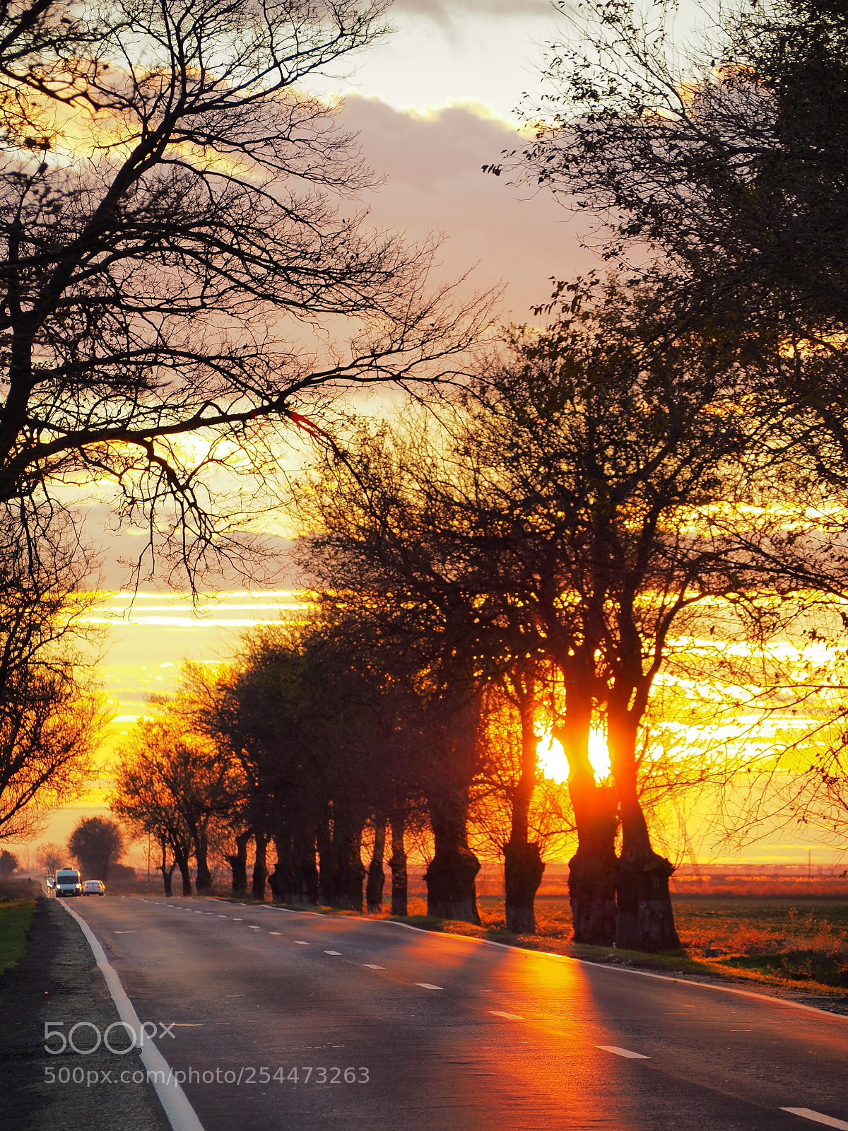 Olympus OM-D E-M10 II sample photo. Autumn sunset photography