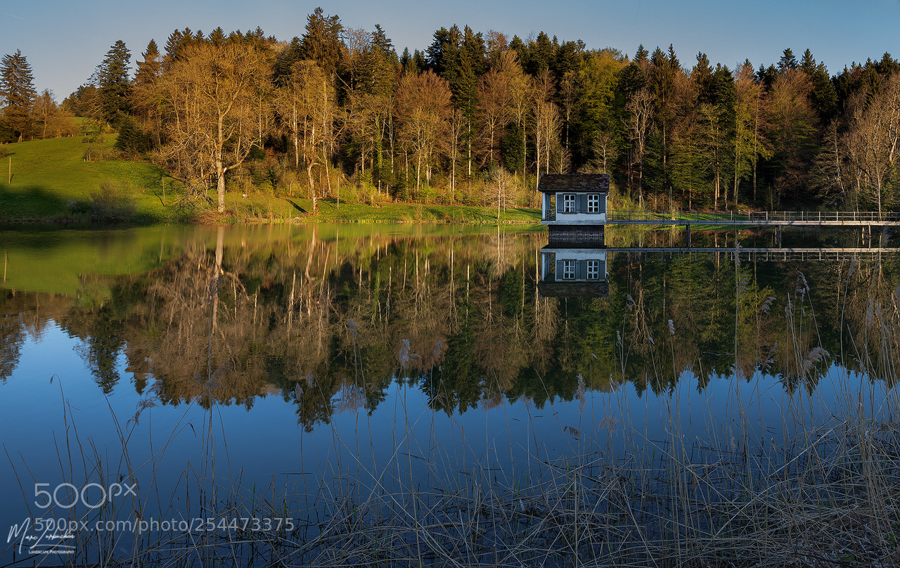 Canon EOS 5D Mark IV sample photo. Little lake photography