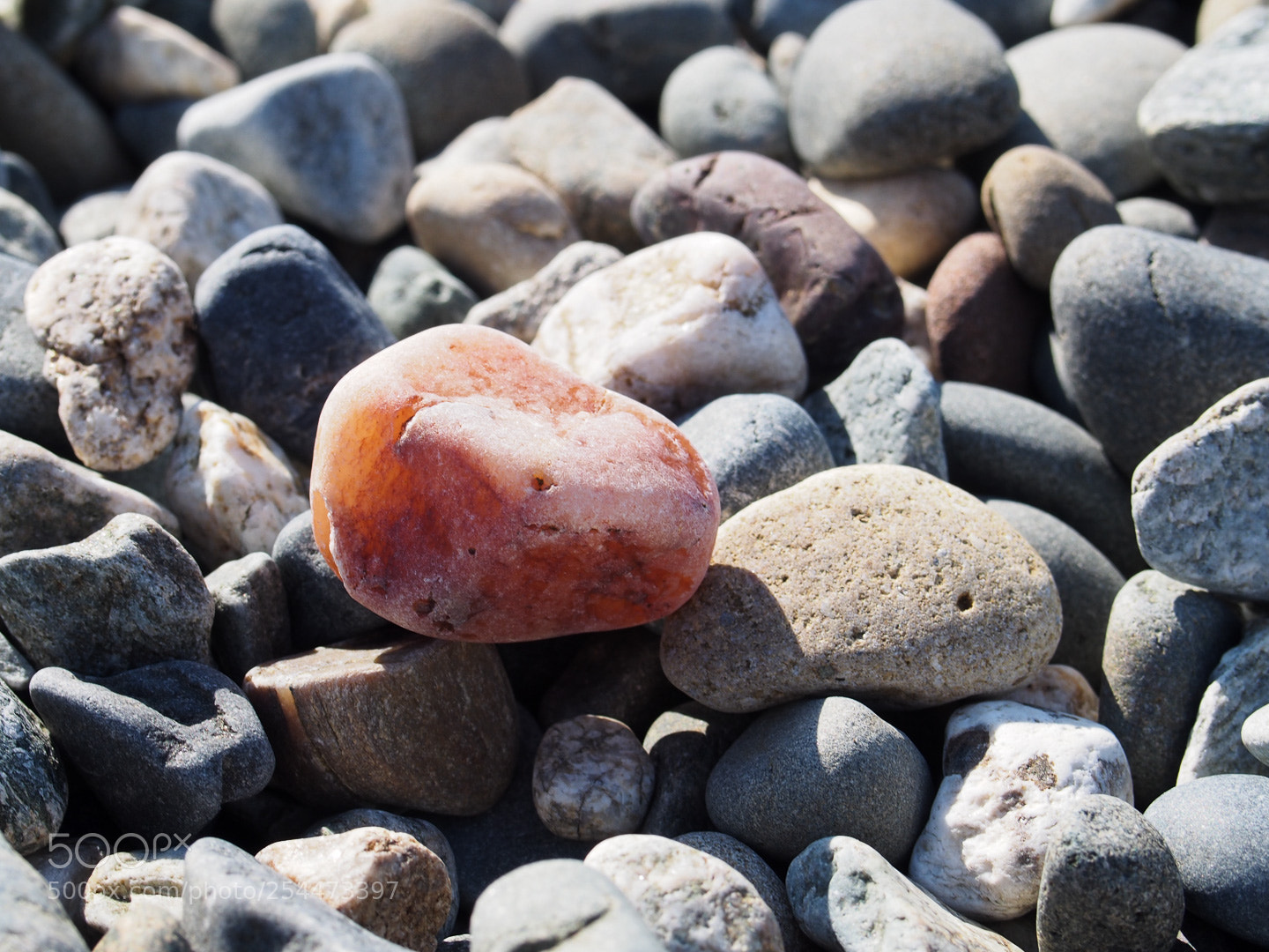 Olympus PEN E-PL5 sample photo. Odd man out photography