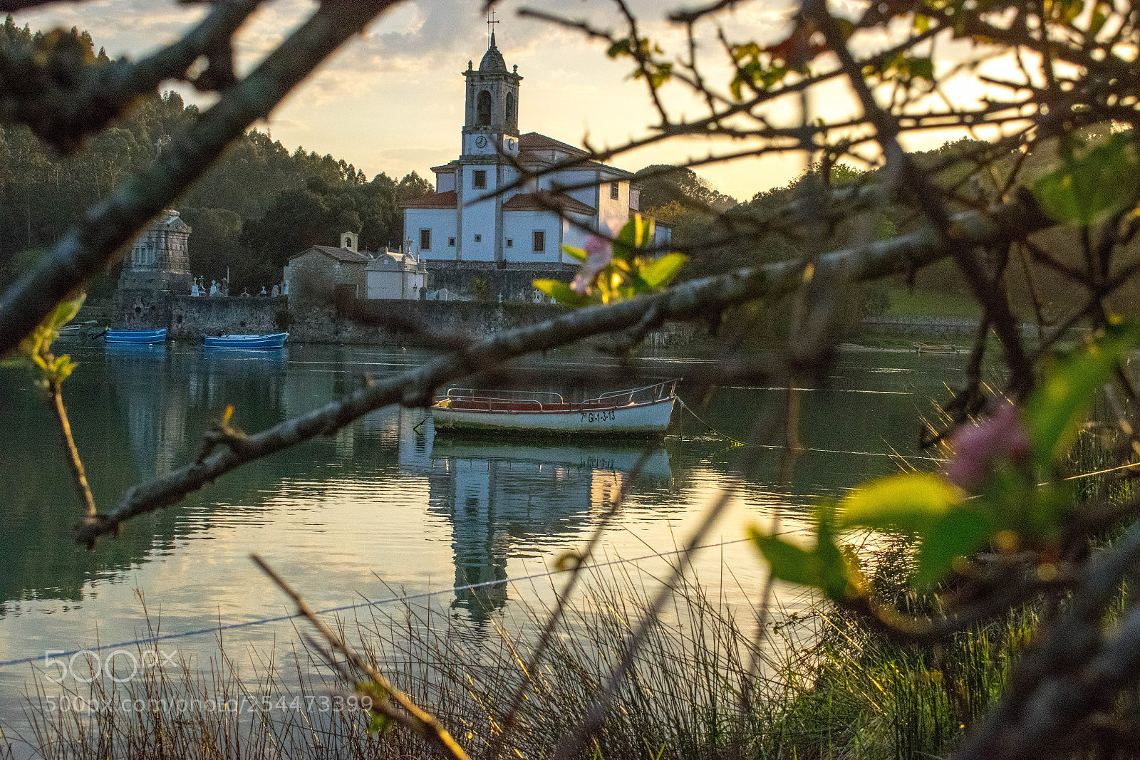 Nikon D5300 sample photo. Entre las ramas photography