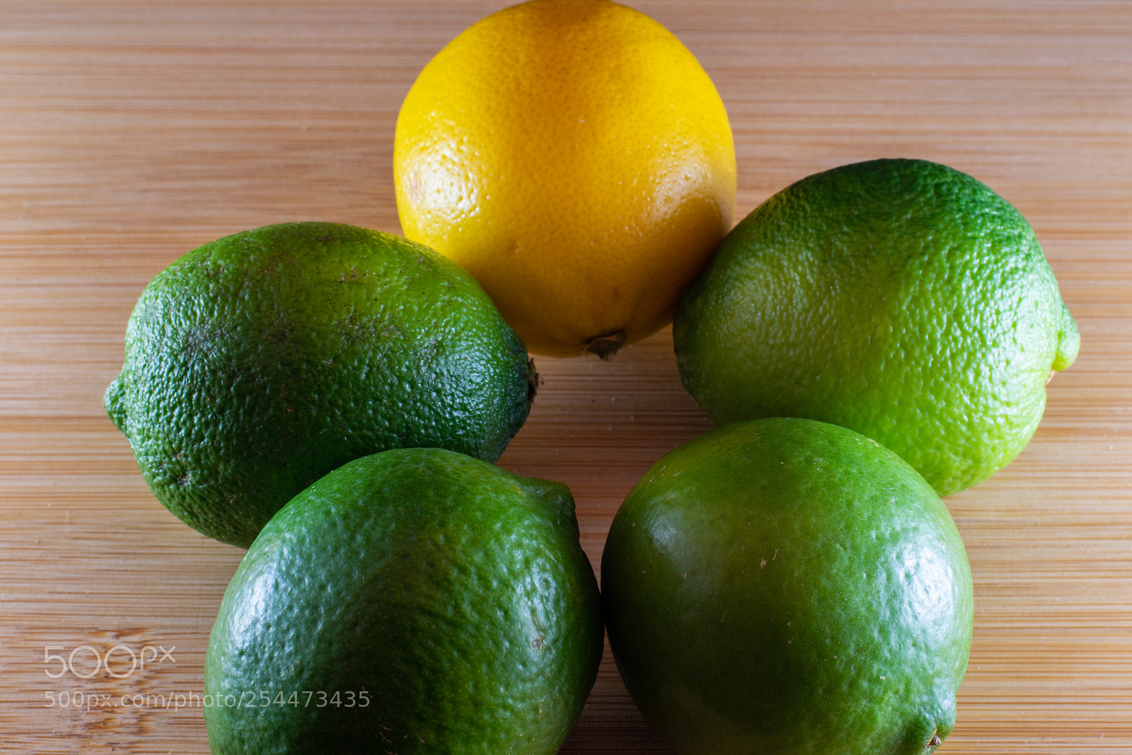 Nikon D5300 sample photo. Meeting of the rinds photography
