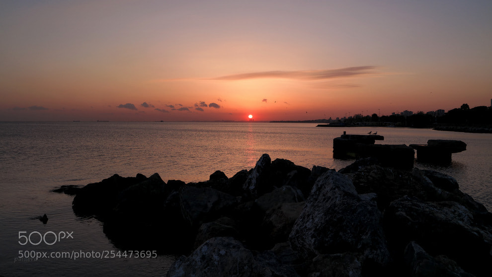 Samsung NX30 sample photo. ... photography