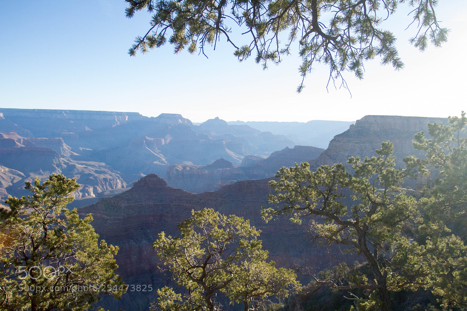 Canon EOS 7D sample photo. Grand canyon national park photography