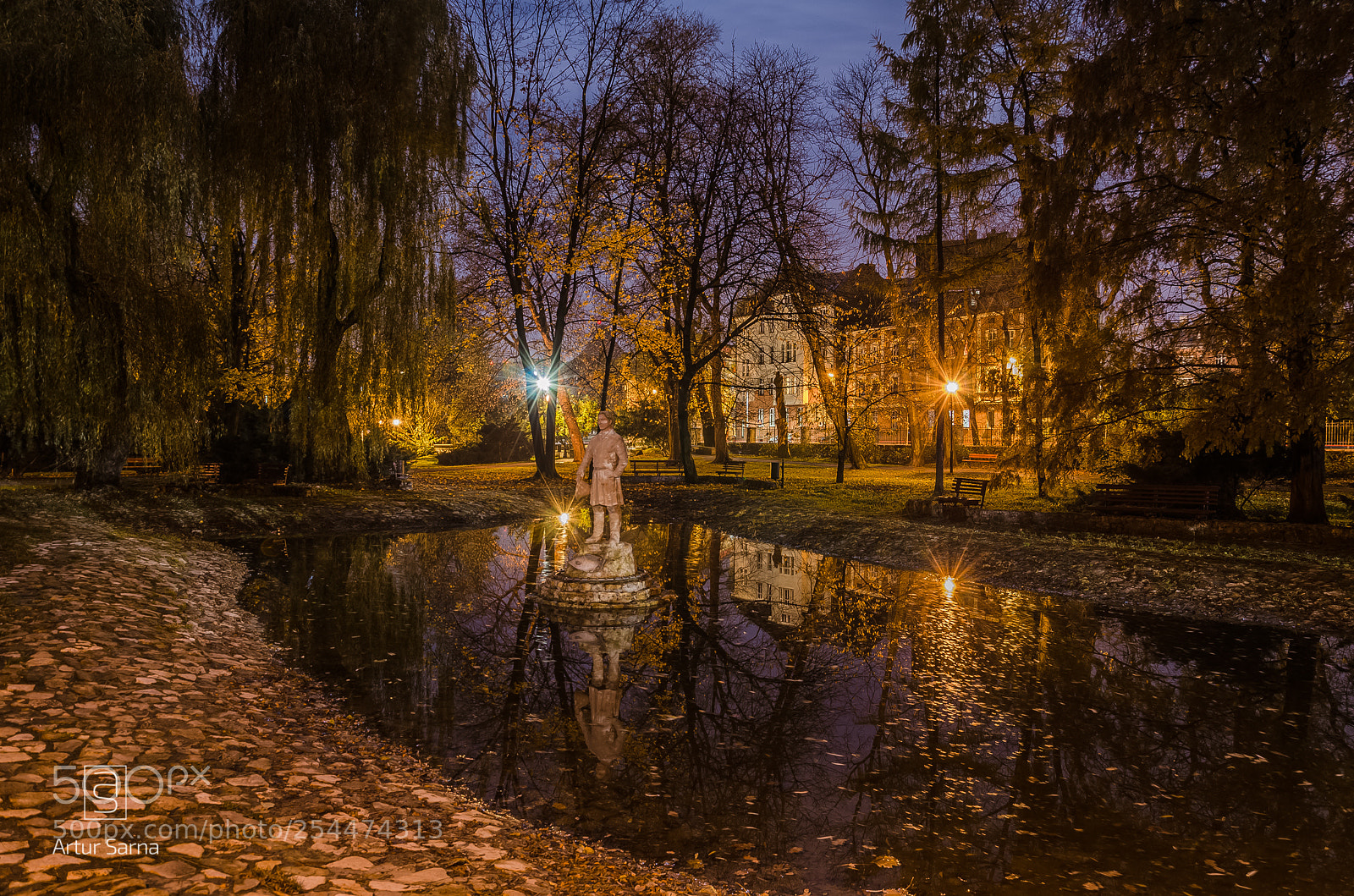 Nikon D5100 sample photo. City park in siemianowice photography