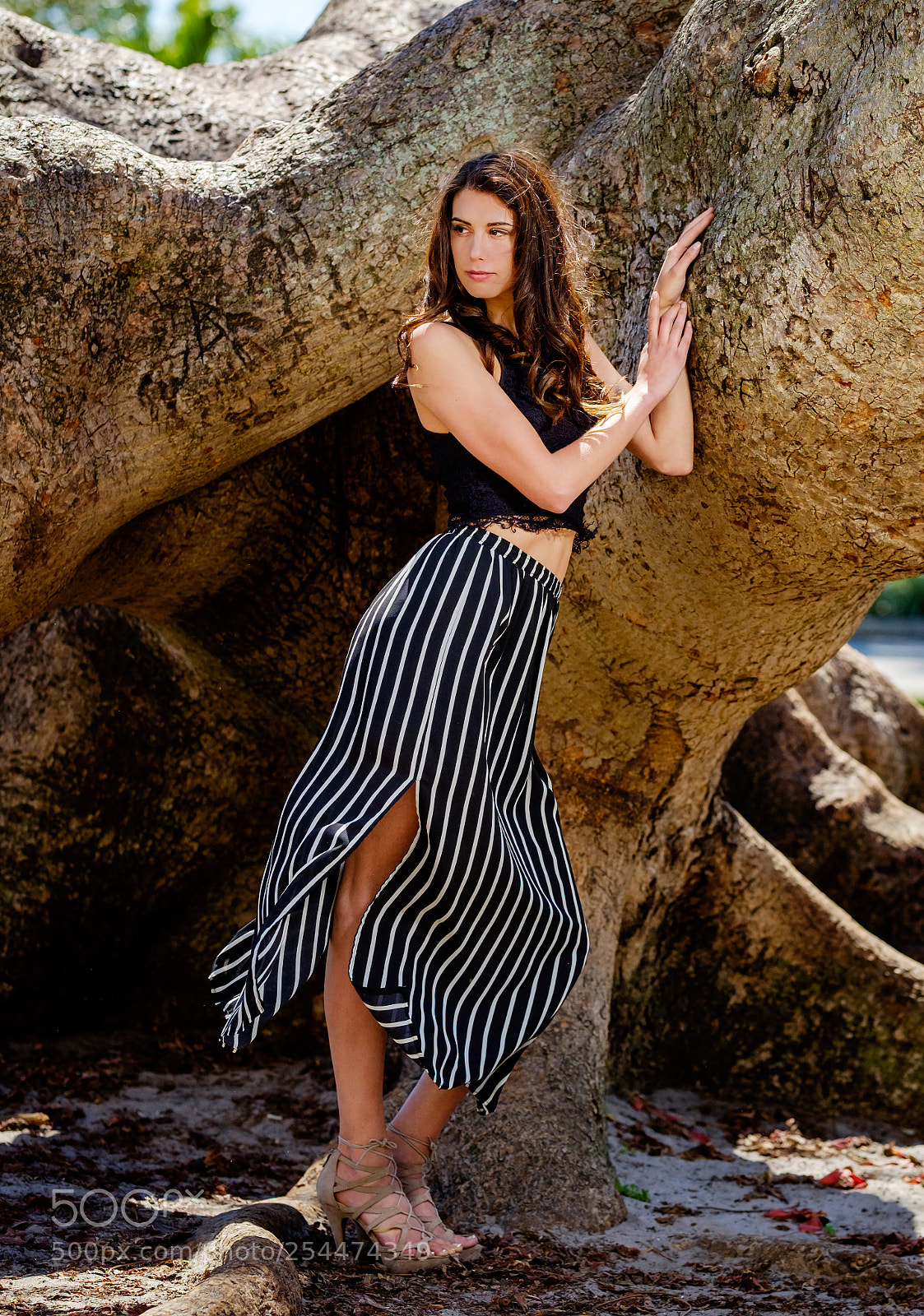 Fujifilm X-T1 sample photo. Pamela lee photography