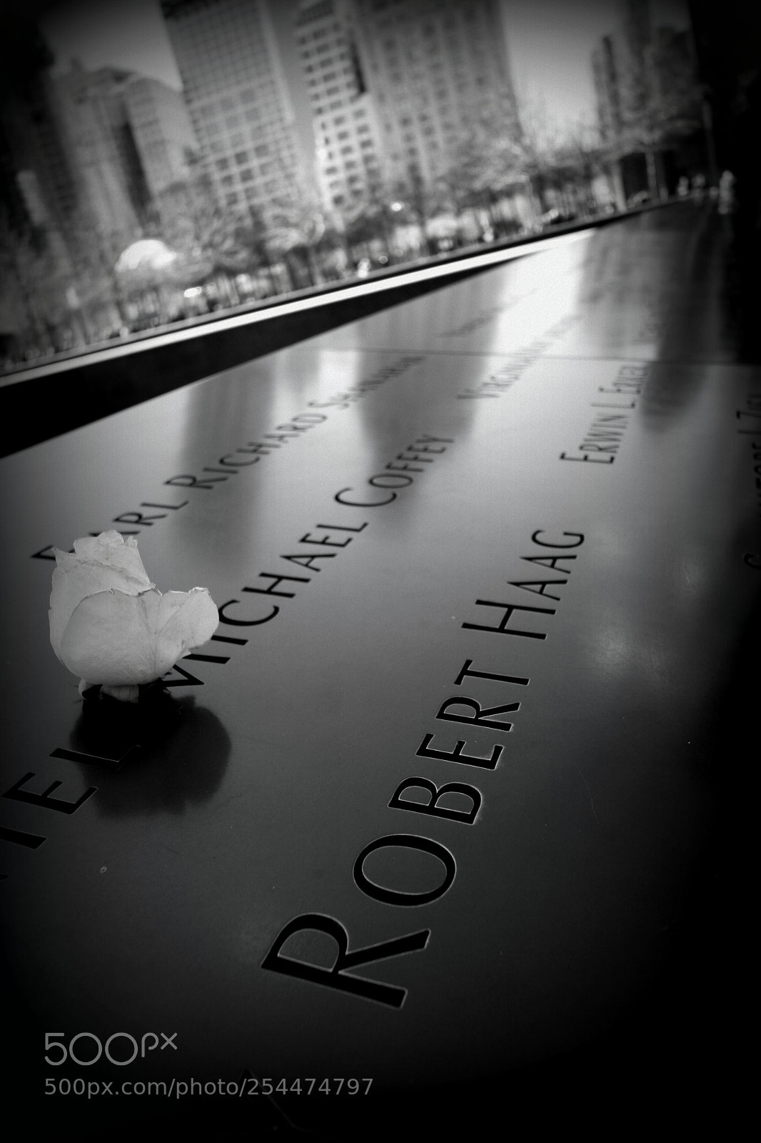 Canon EOS 40D sample photo. Lone rose at 9/11 memorial photography