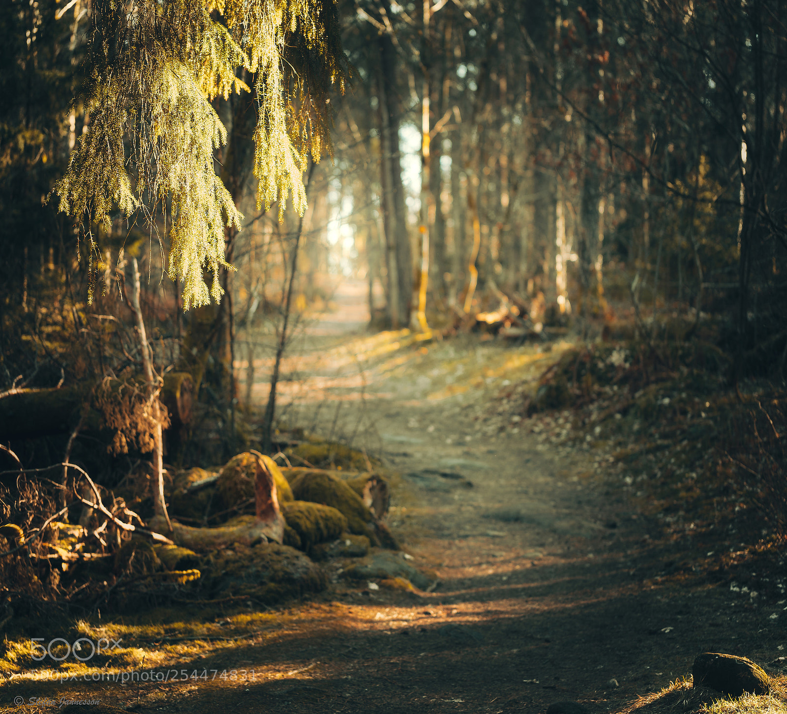 Canon EOS 5DS R sample photo. John 14:30-31 photography