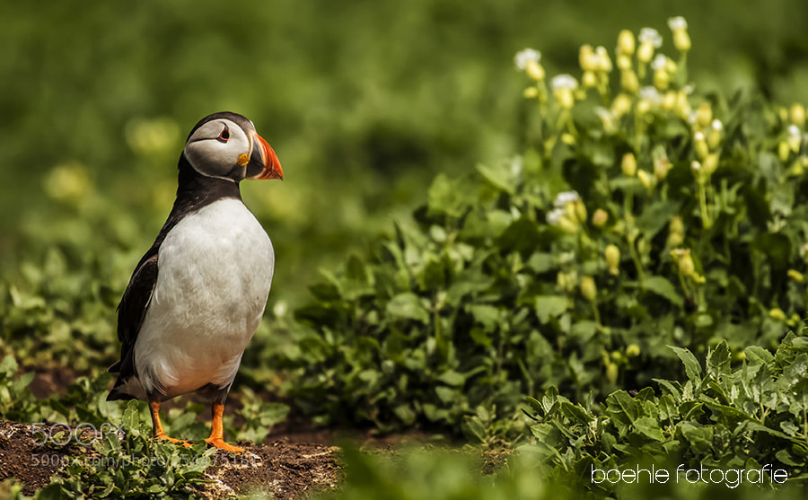 Canon EOS 7D Mark II sample photo. Waar is het nu photography