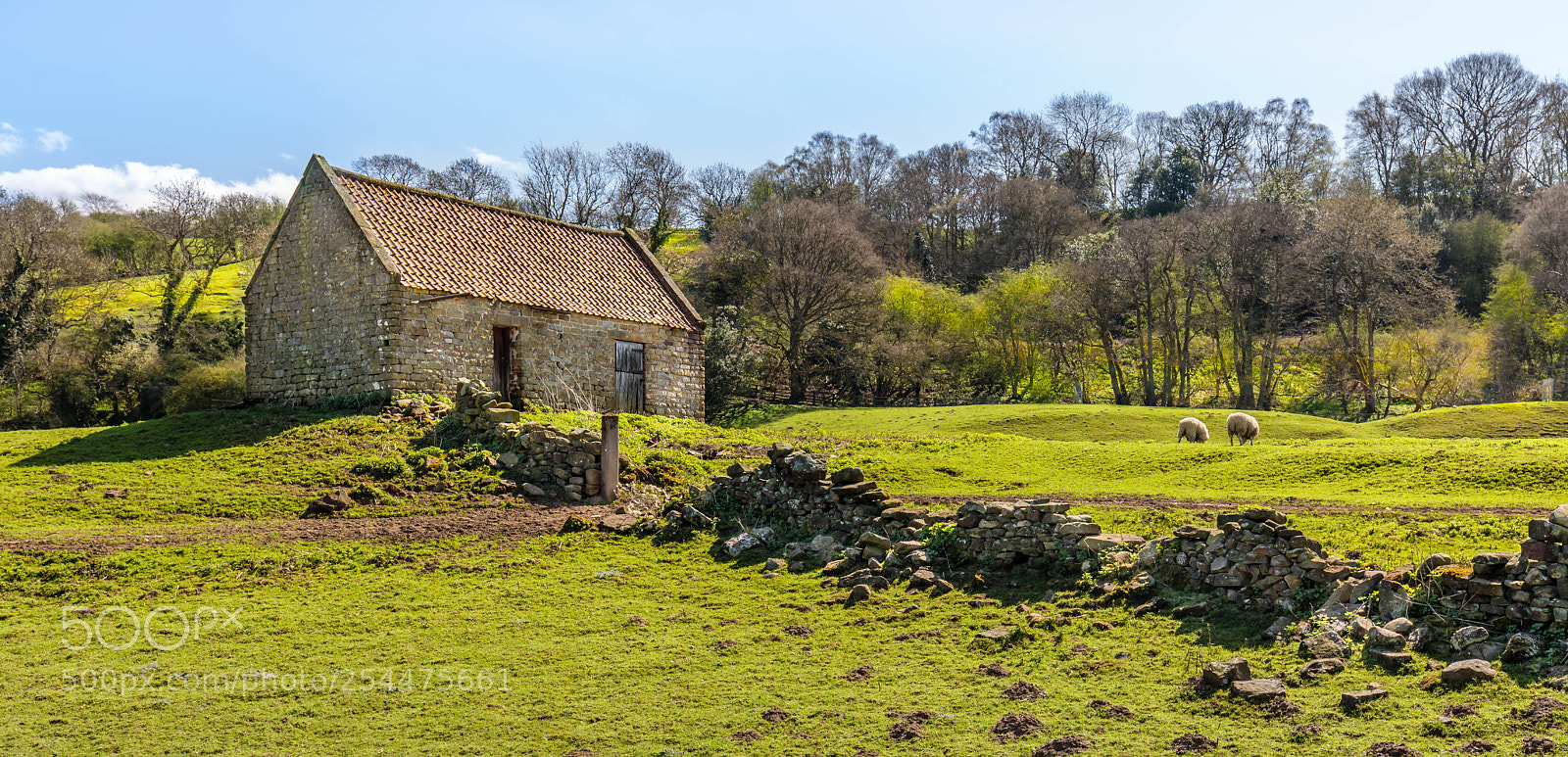 Canon EOS 5D Mark IV sample photo. North yorkshire moors photography