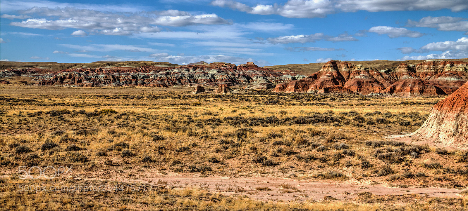 Canon EOS 60D sample photo. Miles and miles of photography