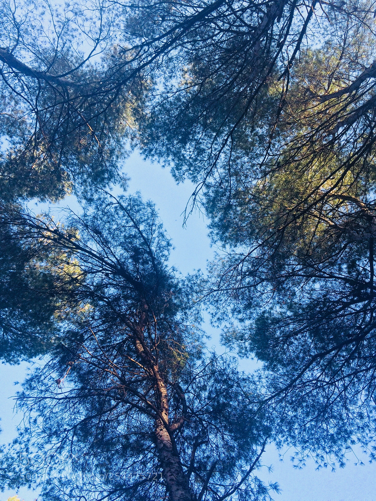 Apple iPhone 5s sample photo. A piece of sky photography