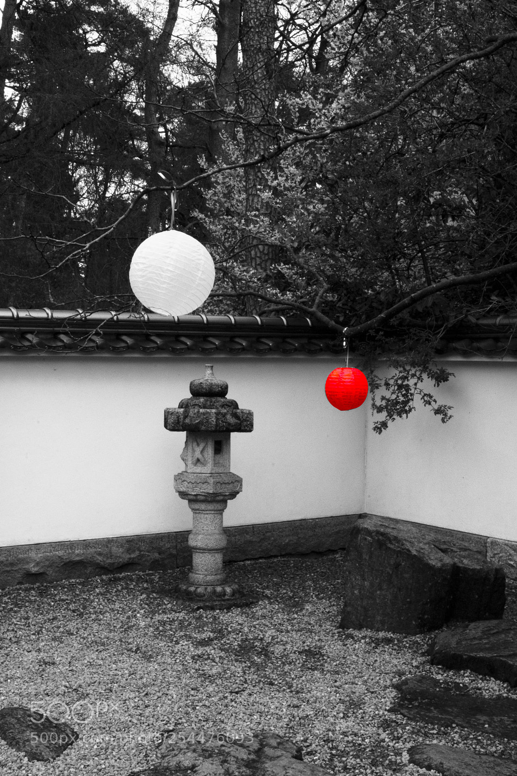 Nikon D7200 sample photo. Be the colorful one photography