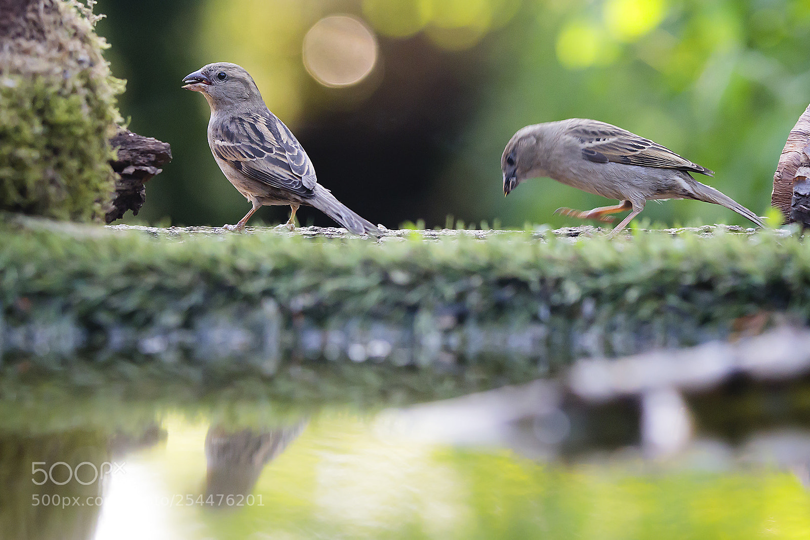 Canon EOS 5D Mark IV sample photo. Qv photography