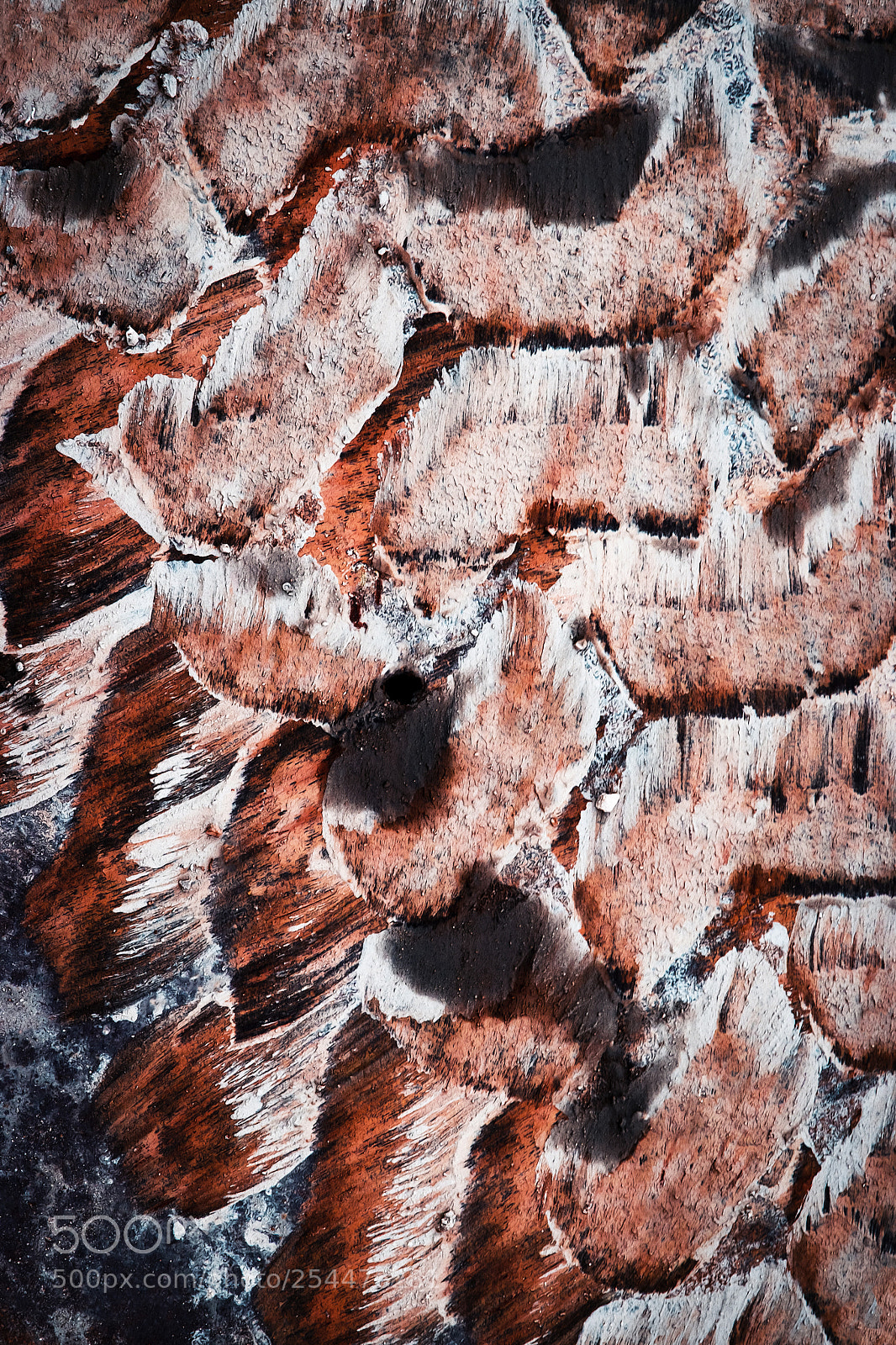 Nikon D5500 sample photo. Abstract smudge from wheel photography