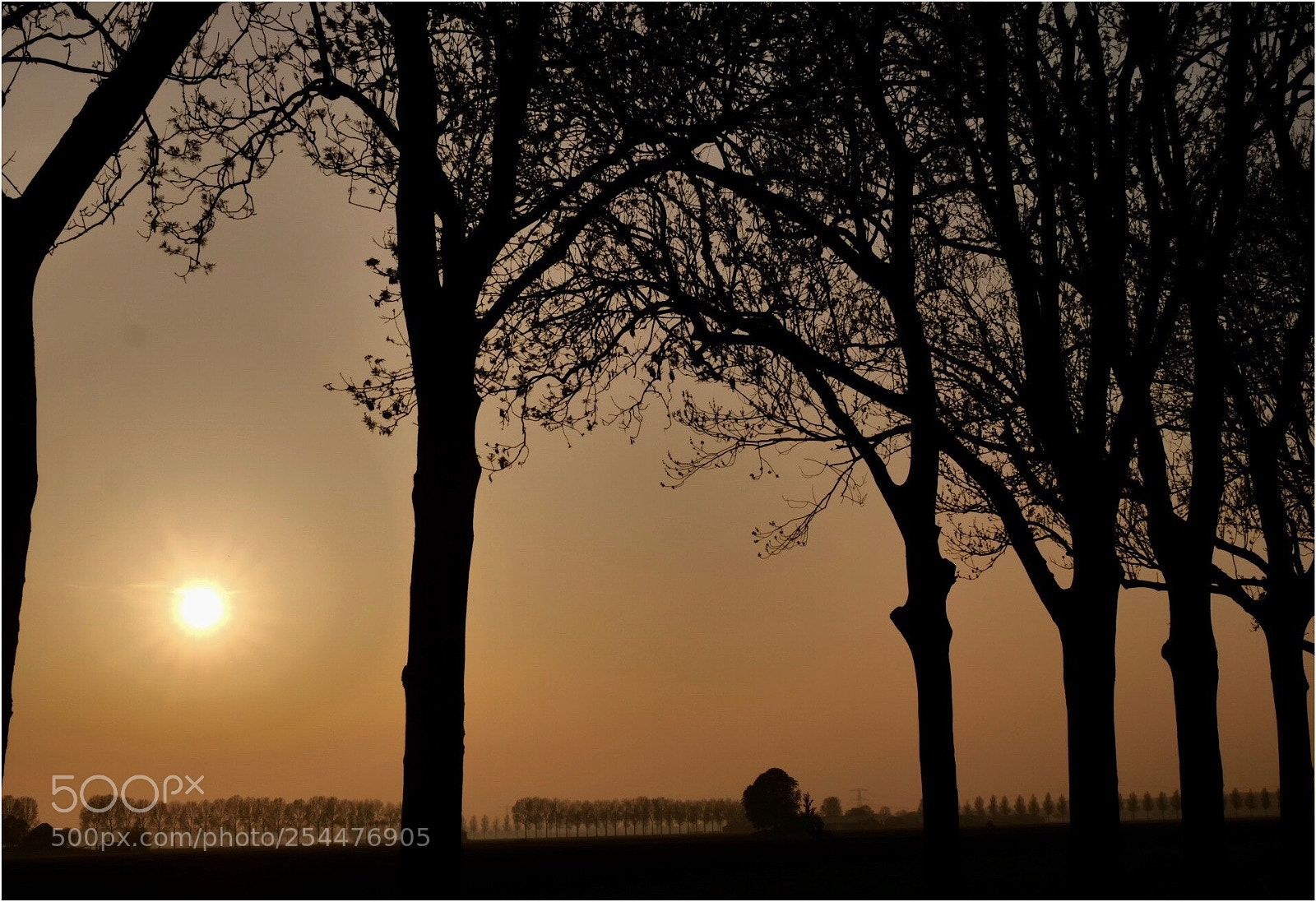 Panasonic Lumix DC-G9 sample photo. Beautiful evening ii photography