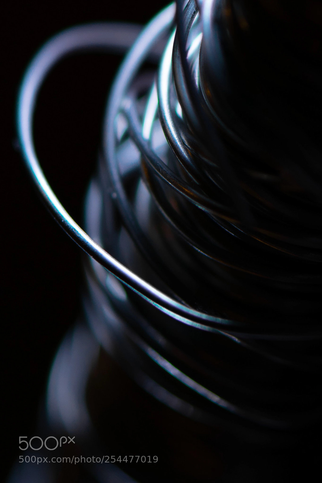 Nikon D5300 sample photo. Wire 4 photography