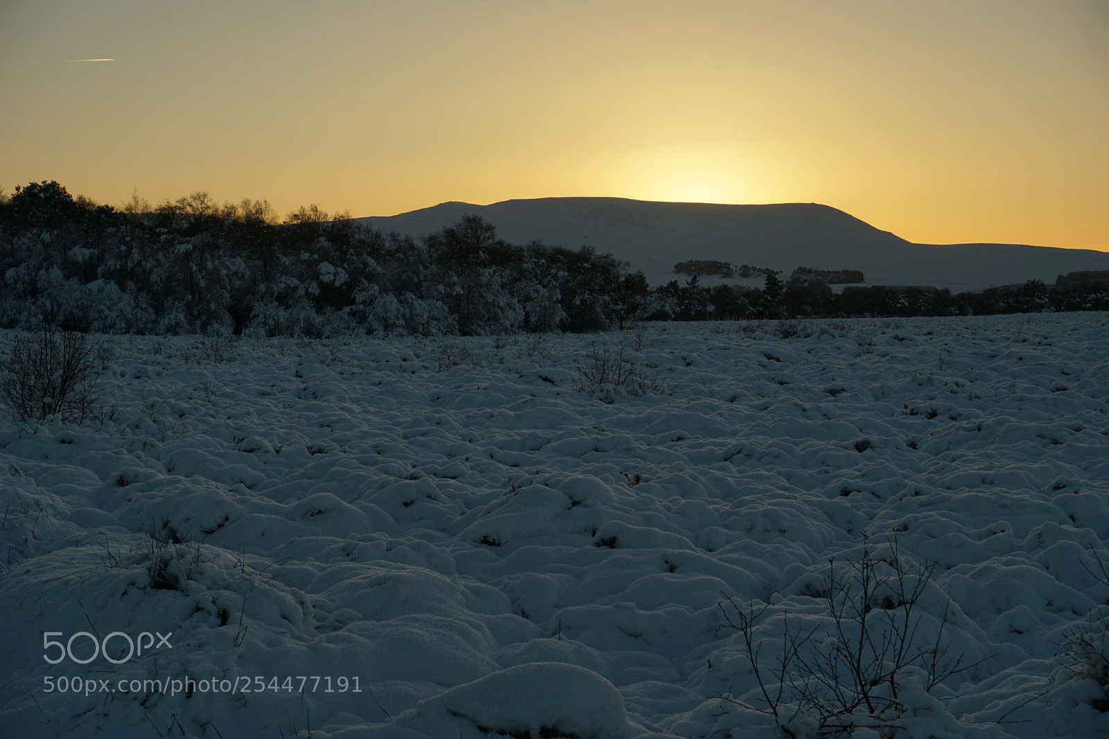 Sony a6000 sample photo. Winter glow photography