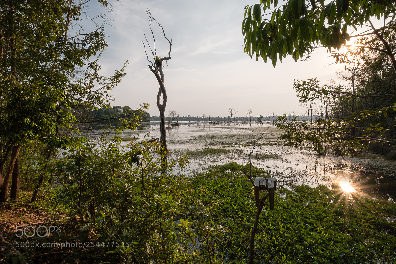 Fujifilm X-T20 sample photo. About the sun in photography