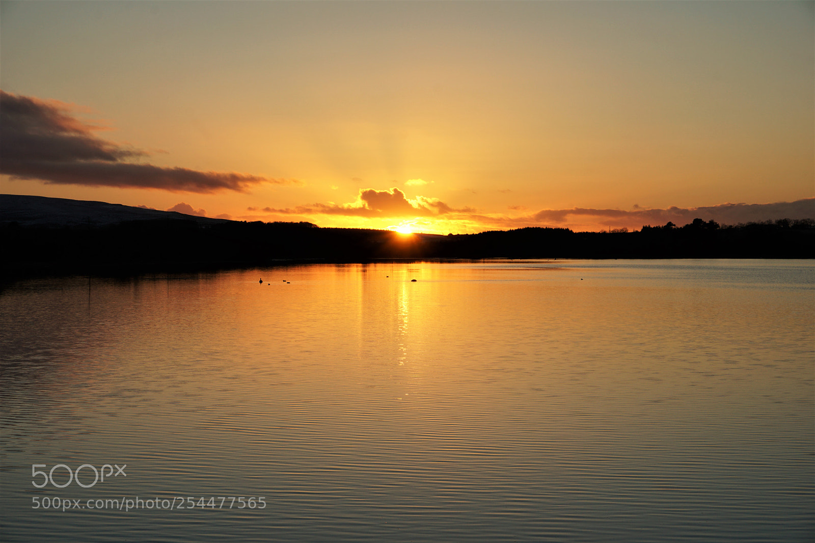 Sony a6000 sample photo. Sunset on bavelaw photography